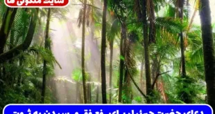 دعای حضرت جبرئیل برای رفع فقر و رسیدن به ثروت حلال و گشایش روزی