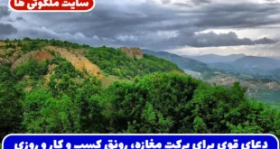 دعای قوی برای برکت مغازه، رونق کسب و کار و جذب رزق و روزی حلال