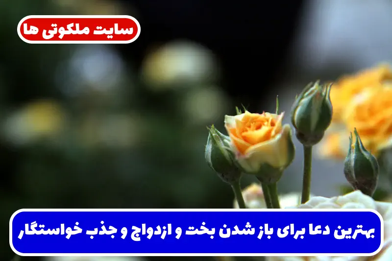 بهترین دعا برای باز شدن بخت و ازدواج و جذب خواستگار خوب برای دختران