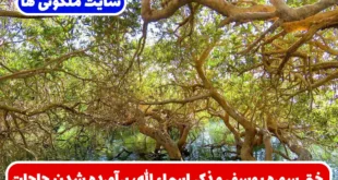 ختم سوره یوسف و ذکر اسماء الله، برآورده شدن حاجات و رزق فراوان