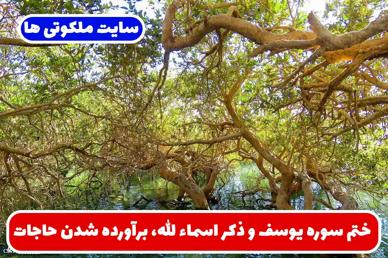 ختم سوره یوسف و ذکر اسماء الله، برآورده شدن حاجات و رزق فراوان ختم سوره یوسف و ذکر اسماء الله، برآورده شدن حاجات و رزق فراوان