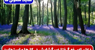 دعا برای رفع گرفتاری، گشایش در کارها و استجابت حاجات و رزق و روزی