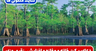 دعای برکت خانه و مغازه همراه با آیات قرآنی برای جذب رزق و روزی