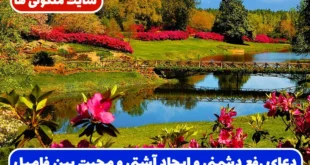 دعای رفع دشمنی و ایجاد آشتی، صلح و محبت میان اعضای فامیل با تأثیر فوری