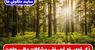 ذکر قوی رفع غم، فقر، مشکلات مالی، حاجت، گشایش رزق و رفع بلا