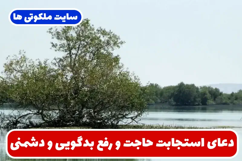دعای استجابت حاجت و رفع بدگویی و دشمنی و ایجاد احترام و محبت میان مردم دعای استجابت حاجت و رفع بدگویی و دشمنی و ایجاد احترام و محبت میان مردم
