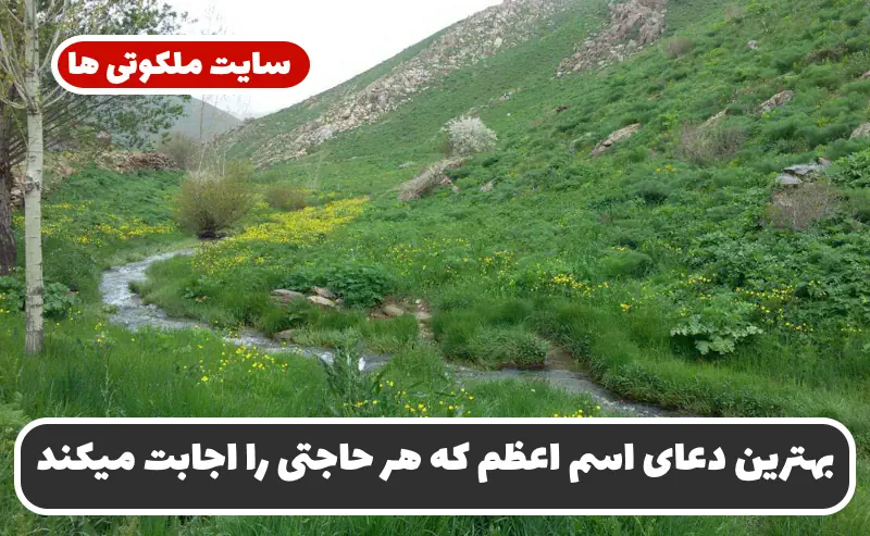 بهترین دعای اسم اعظم که هر حاجت و خواسته ای را سریع برآورده میکند بهترین دعای اسم اعظم که هر حاجت و خواسته ای را سریع برآورده میکند