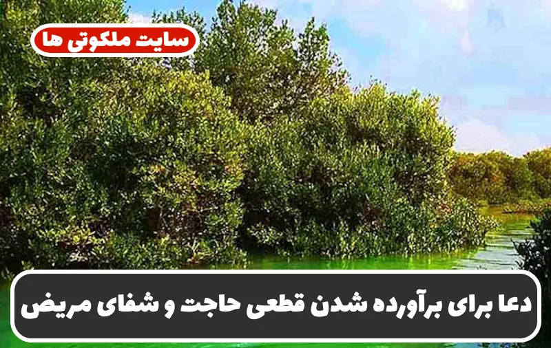 دعا برای برآورده شدن قطعی حاجت و خواسته و شفای مریض | تضمینی دعا برای برآورده شدن قطعی حاجت و خواسته و شفای مریض | تضمینی