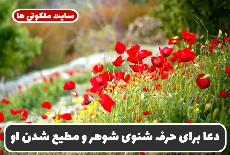 دعا برای حرف شنوی شوهر از راه دور | قویترین دعای مطیع و وابسته شدن شوهر دعا برای حرف شنوی شوهر از راه دور | قویترین دعای مطیع و وابسته شدن شوهر
