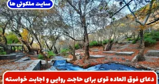 دعای فوق العاده قوی برای حاجت روایی و اجابت سریع خواسته ها از امام علی (ع)