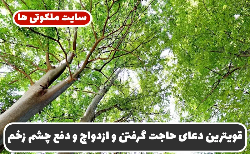 قویترین دعای حاجت گرفتن و ازدواج و دفع چشم زخم و گشایش در مشکلات و سختی قویترین دعای حاجت گرفتن و ازدواج و دفع چشم زخم و گشایش در مشکلات و سختی