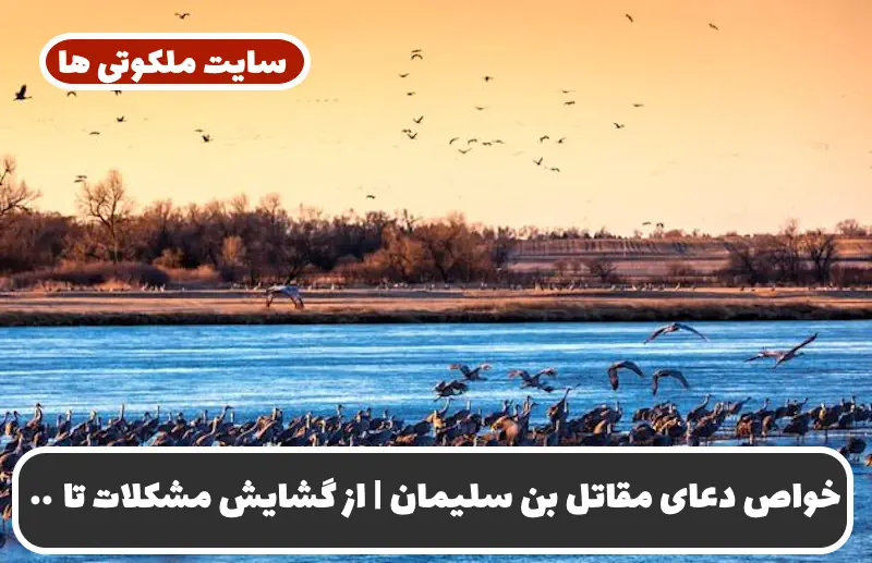 خواص دعای مقاتل بن سلیمان | از گشایش مشکلات تا بازگشت معشوق و پیدا کردن کار خواص دعای مقاتل بن سلیمان | از گشایش مشکلات تا بازگشت معشوق و پیدا کردن کار