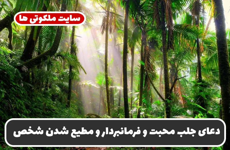 دعای جلب محبت و فرمانبردار کردن شخص | قویترین دعای جلب عشق