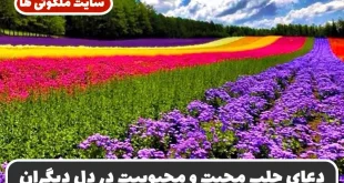 دعای جلب محبت و محبوبیت در دل دیگران؛ ذکرهای مجرب از امام صادق (ع)