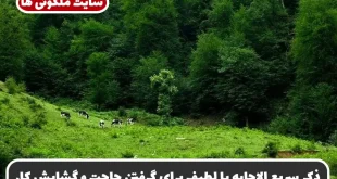 ذکر سریع الاجابه یا لطیف برای گرفتن حاجت و گشایش کار و رفع مشکلات فوری