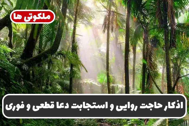 اذکار حاجت روایی و استجابت دعا قطعی و فوری و تضمینی اذکار حاجت روایی و استجابت دعا قطعی و فوری و تضمینی