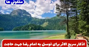اذکار سریع الاثر برای توسل به امام رضا جهت طلب حاجت و خواسته