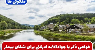 خواص ذکر یا جوادالائمه ادرکنی برای شفای بیمار و مریض تضمینی