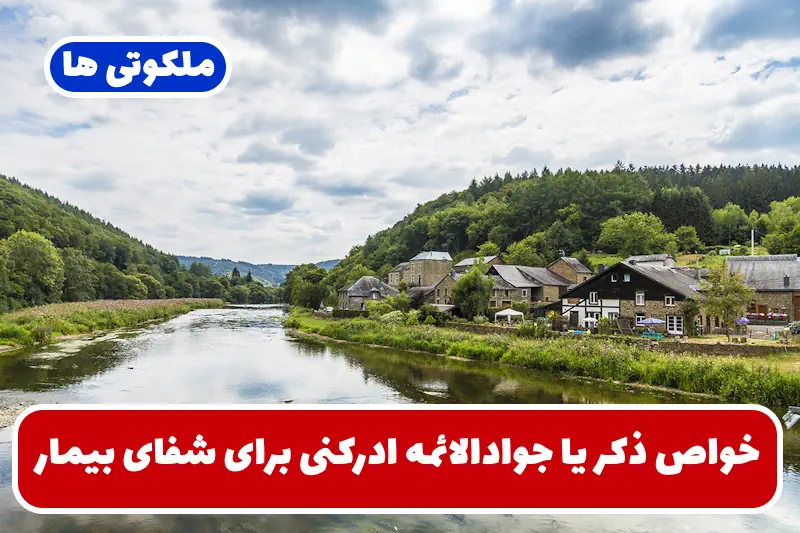 خواص ذکر یا جوادالائمه ادرکنی برای شفای بیمار و مریض تضمینی خواص ذکر یا جوادالائمه ادرکنی برای شفای بیمار و مریض تضمینی