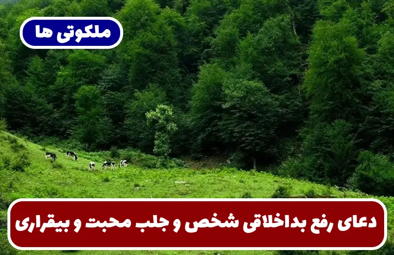 دعای رفع بداخلاقی شخص در خانواده و محل کار و جلب محبت و بیقراری دعای رفع بداخلاقی شخص در خانواده و محل کار و جلب محبت و بیقراری