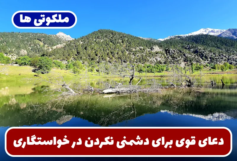 دعای قوی برای دشمنی نکردن در خواستگاری و محبت بین خانواده دختر و پسر دعای قوی برای دشمنی نکردن در خواستگاری و محبت بین خانواده دختر و پسر