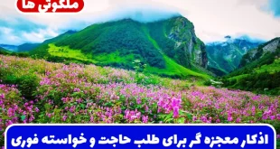 اذکار معجزه گر برای طلب حاجت و خواسته فوری و تضمینی از امام رضا