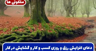 دعای افزایش رزق و روزی کسب و کار و گشایش در کار و برکت مغازه