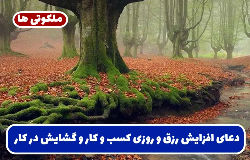 دعای افزایش رزق و روزی کسب و کار و گشایش در کار و برکت مغازه