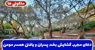 دعای مجرب گشایش بخت پسران و یافتن همسر مومن و باتقوا تضمینی