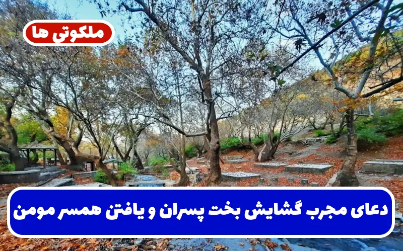 دعای مجرب گشایش بخت پسران و یافتن همسر مومن و باتقوا تضمینی دعای مجرب گشایش بخت پسران و یافتن همسر مومن و باتقوا تضمینی