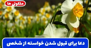 دعا برای قبول شدن خواسته از شخصی و رد نشدن خواسته تضمینی