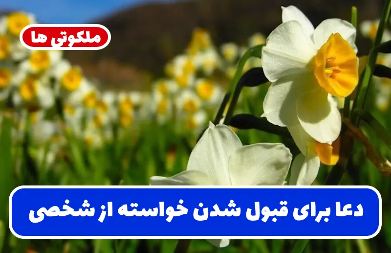 دعا برای قبول شدن خواسته از شخصی و رد نشدن خواسته تضمینی دعا برای قبول شدن خواسته از شخصی و رد نشدن خواسته تضمینی