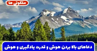 دعاهای بالا بردن هوش و قدرت یادگیری و افزایش میل به درس خواندن