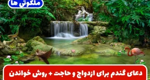 دعای گندم برای ازدواج و حاجت + روش خواندن دعا روی دانه گندم