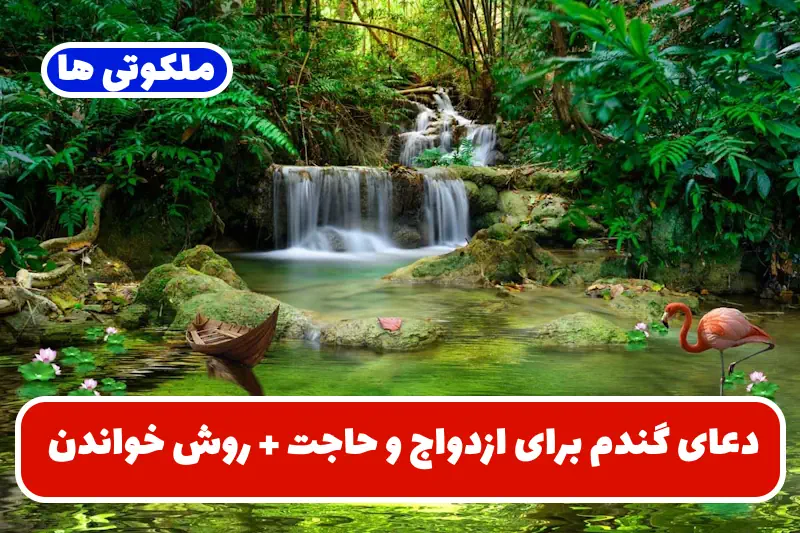 دعای گندم برای ازدواج و حاجت + روش خواندن دعا روی دانه گندم دعای گندم برای ازدواج و حاجت + روش خواندن دعا روی دانه گندم