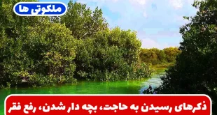ذکرهای رسیدن به حاجت، بچه دار شدن، رفع فقر، جلب روزی و گشایش در کسب و کار