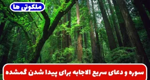 سوره و دعای سریع الاجابه برای پیدا شدن گمشده و چیزهای دزدیده شده