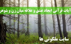 آیات قرآنی ایجاد عشق و علاقه میان زن و شوهر و رفع کدورت و آشتی آنها