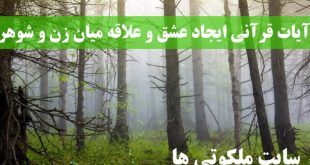 آیات قرآنی ایجاد عشق و علاقه میان زن و شوهر و رفع کدورت و آشتی آنها