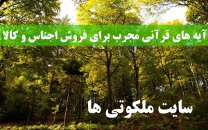 آیه های قرآنی مجرب برای فروش اجناس و کالا در مغازه