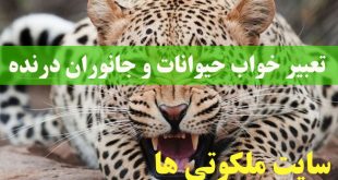 تعبیر خواب حیوانات و جانوران درنده - تعبیر کشتن حیوانات درنده در خواب