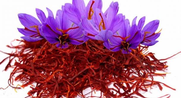 تعبیر خواب زعفران و خوردن زعفران - تعبیر برداشت زعفران در خواب