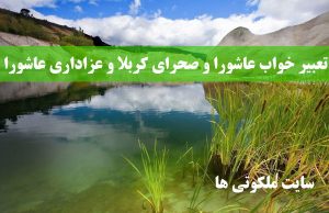 تعبیر خواب عاشورا و صحرای کربلا - دیدن کاروان کربلا در خواب تعبیرش چیست