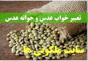 تعبیر خواب عدس و جوانه عدس - دیدن عدس پخته شده در خواب تعبیرش چیست