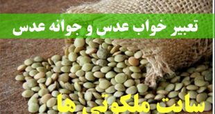 تعبیر خواب عدس و جوانه عدس - دیدن عدس پخته شده در خواب تعبیرش چیست