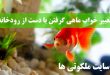 تعبیر خواب ماهی گرفتن با دست از رودخانه - تعبیر ماهی سیاه کوچولو