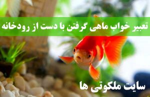 تعبیر خواب ماهی گرفتن با دست از رودخانه - تعبیر ماهی سیاه کوچولو