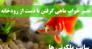 تعبیر خواب ماهی گرفتن با دست از رودخانه - تعبیر ماهی سیاه کوچولو