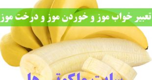 تعبیر خواب موز و خوردن موز - دیدن درخت موز در خواب تعبیرش چیست