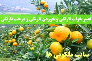 تعبیر خواب نارنگی و خوردن نارنگی و تعبیر دیدن درخت نارنگی در خواب